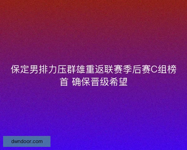 保定男排力压群雄重返联赛季后赛C组榜首 确保晋级希望