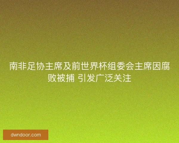 南非足协主席及前世界杯组委会主席因腐败被捕 引发广泛关注
